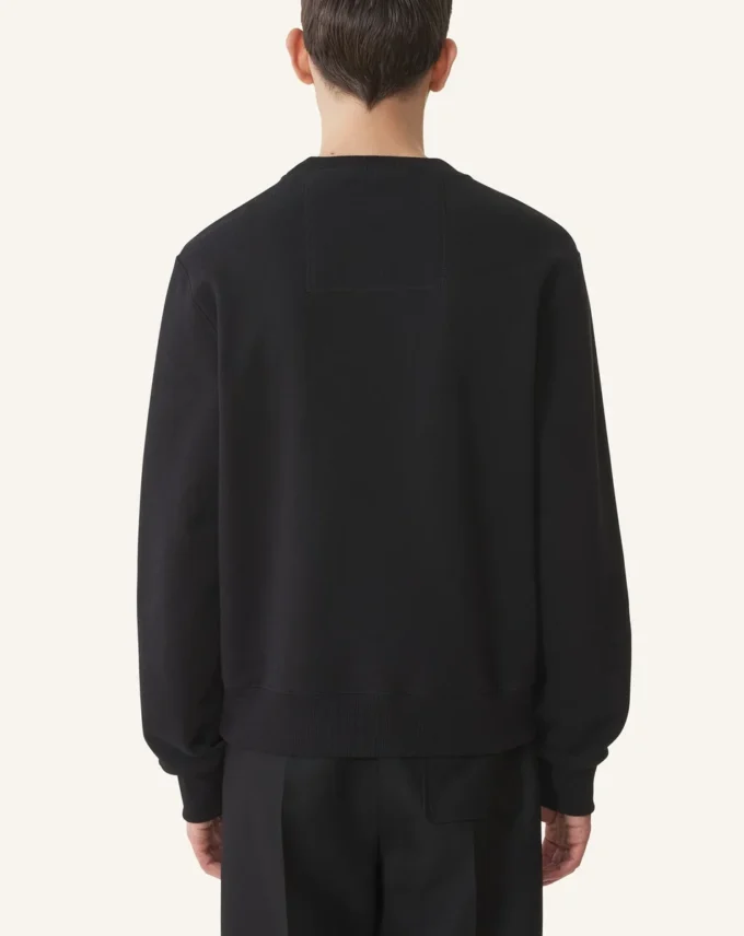 Felpa in cotone ricamata Lanvin Felpa in cotone ricamata Lanvin