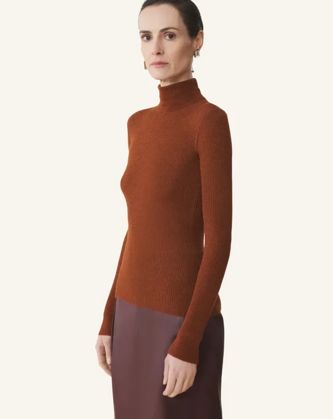 Maglione a collo alto in lana merino e seta Maglione a collo alto in lana merino e seta